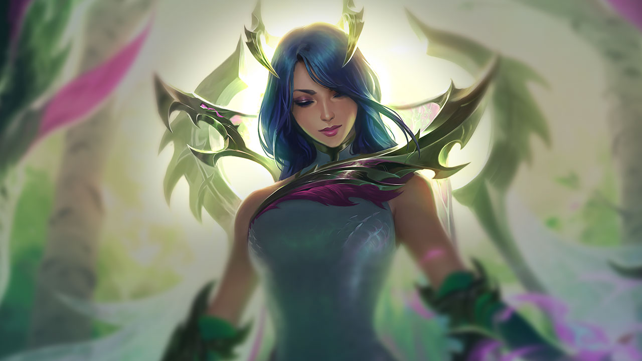 Splash-Art von Feendrache Ashe